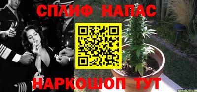 spice Гай