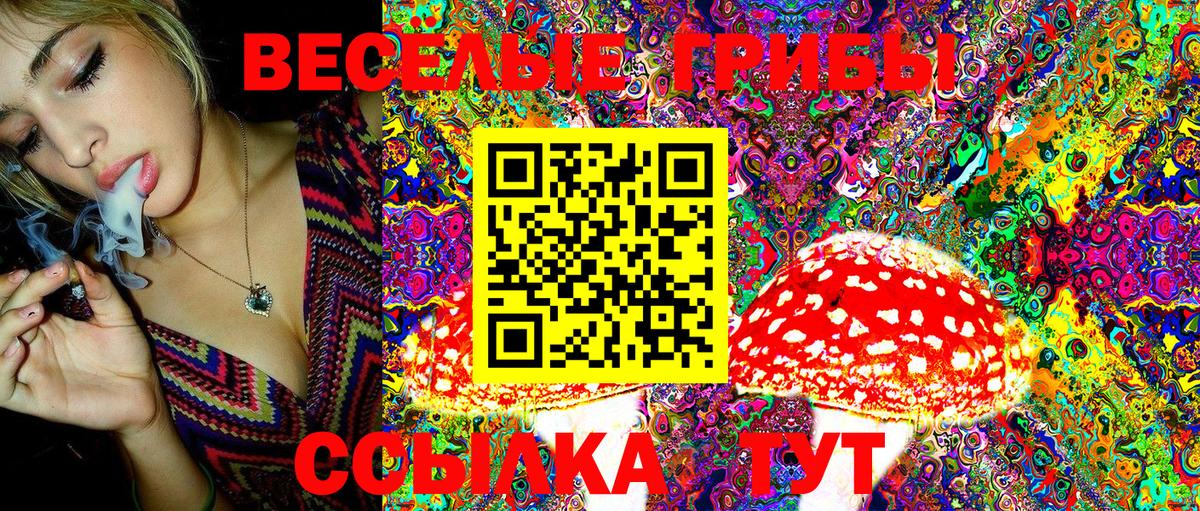 Псилоцибиновые грибы Magic Shrooms  Галлюциногенные грибы Cubensis  Вход с VPN  где продают наркотики  Кореновск 