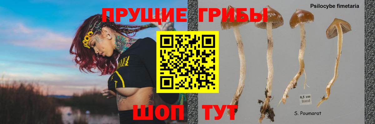 Галлюциногенные грибы MAGIC MUSHROOMS Кореновск